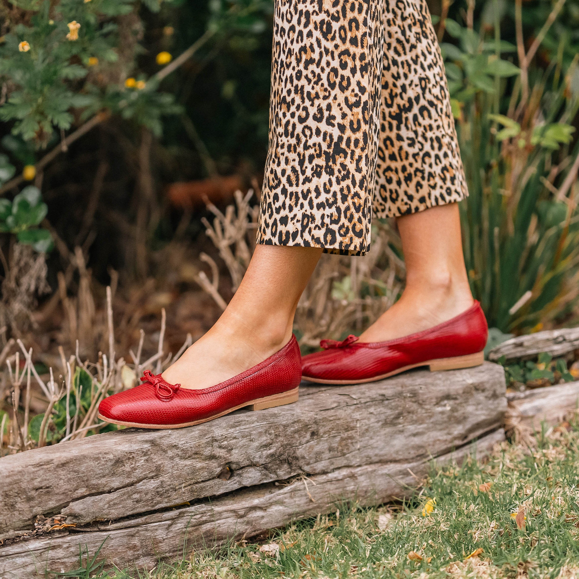 Ballerina Amalia Rojo